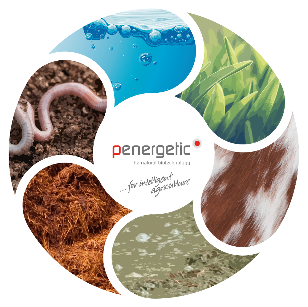 Penergetic Natural Biotechnology For Intelligent Agriculture